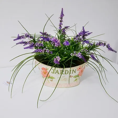 Revolution Bed E Breakfast Caserta