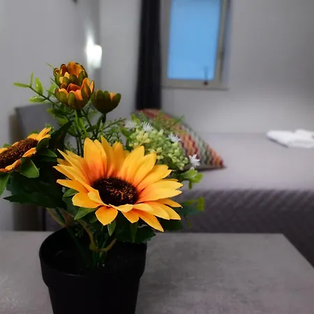 Nocleg ze śniadaniem Revolution Bed E Breakfast