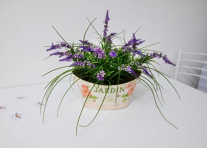 Revolution Bed E Breakfast كازيرتا