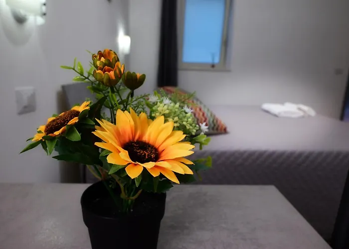 فندق مبيت وإفطار Revolution Bed E Breakfast